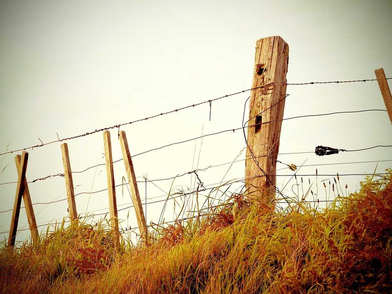 其他内存删除<br>iOS其他占用超大清理方案